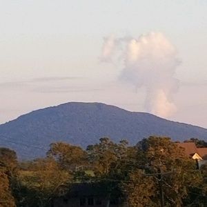 Meet your Posher, Jacqueline